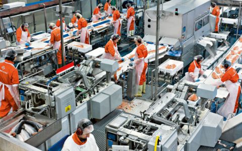 usine-de-production-agroalimentaire